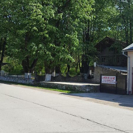 Casa Borcean Villa Sasca Montana Luaran gambar