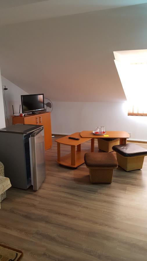 Casa Borcean Villa Sasca Montana Luaran gambar