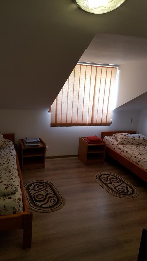 Casa Borcean Villa Sasca Montana Luaran gambar