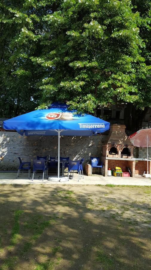 Casa Borcean Villa Sasca Montana Luaran gambar