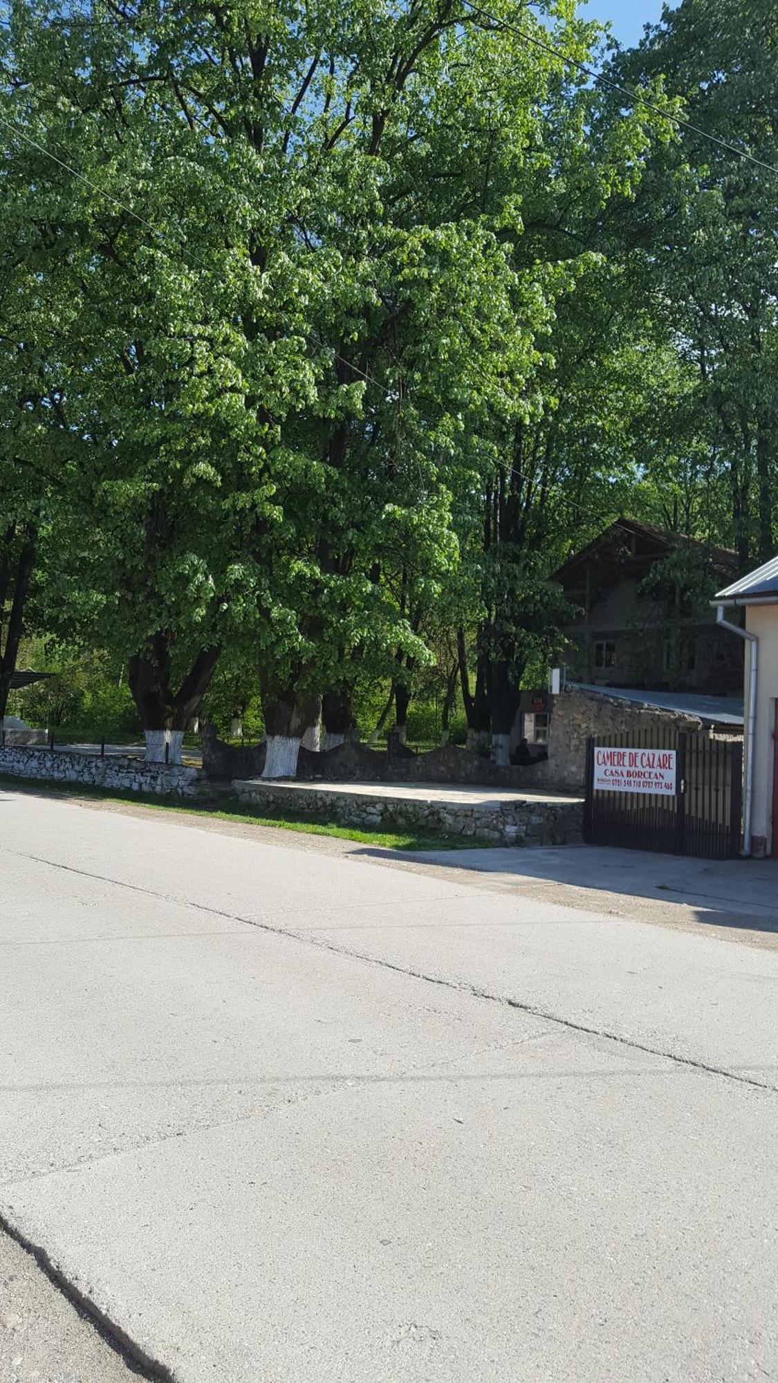 Casa Borcean Villa Sasca Montana Luaran gambar